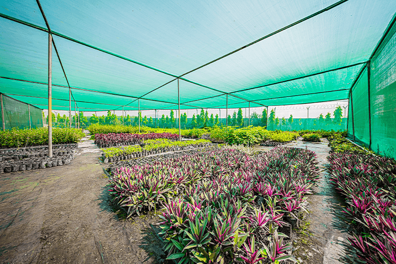 Divine Nursery Green Landscaping